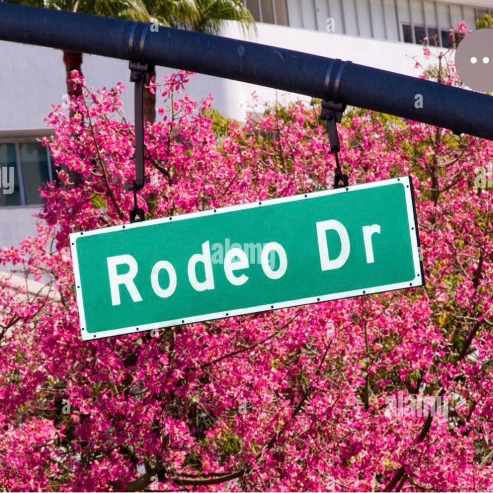 Meet your Posher, Mrs Rodeo Dr🌸